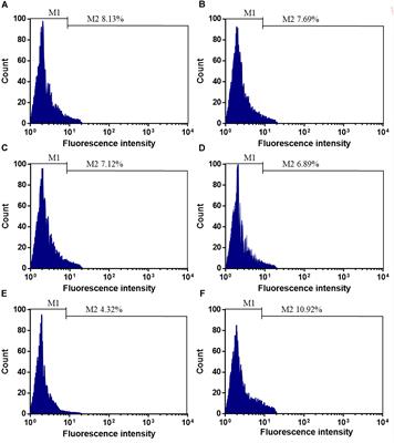 Stent-Jailing Technique Reduces Aneurysm Recurrence More Than Stent-Jack Technique by Causing Less Mechanical Forces and Angiogenesis and Inhibiting TGF-β/Smad2,3,4 Signaling Pathway in Intracranial Aneurysm Patients